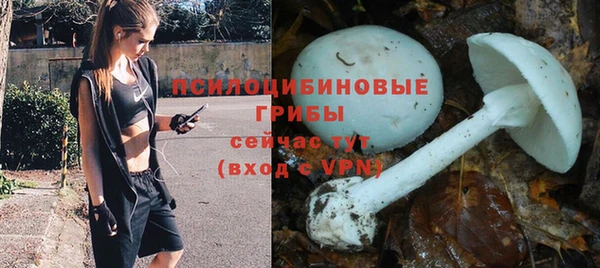 эйфоретик Алексин