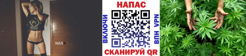 что такое   Хотьково  Канабис планчик 